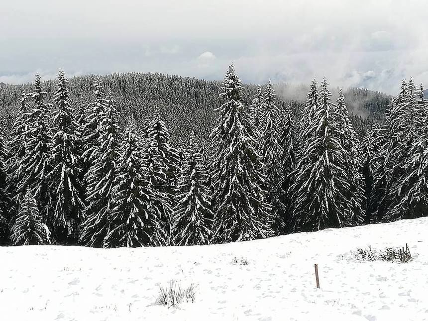 Iarna în România: Zăpadă atinge și 82 de centimetri în unele zone