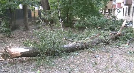 Se prăbuşesc crengile peste chişinăueni. Foto: captura video