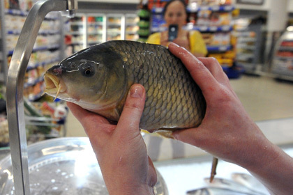 Список запрещенных к ввозу в Россию продуктов пополнился живой рыбой.