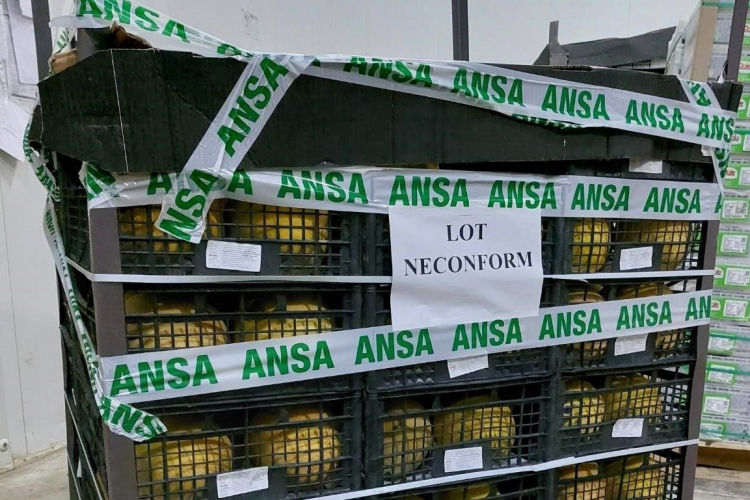 Потребители, приобретающие продукты питания, имеют право запросить документы, подтверждающие качество.