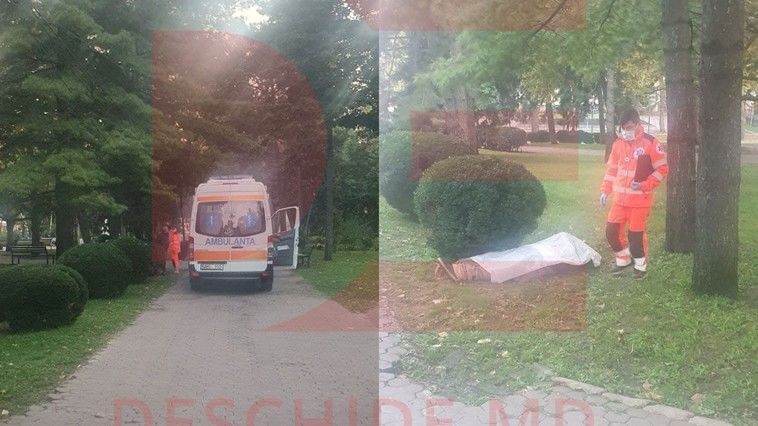 В столичном парке найдено тело мужчины.