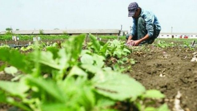Mâine, intră în vigoare Codul Galben de îngheţ, valabil până sâmbătă. Foto: publika.md