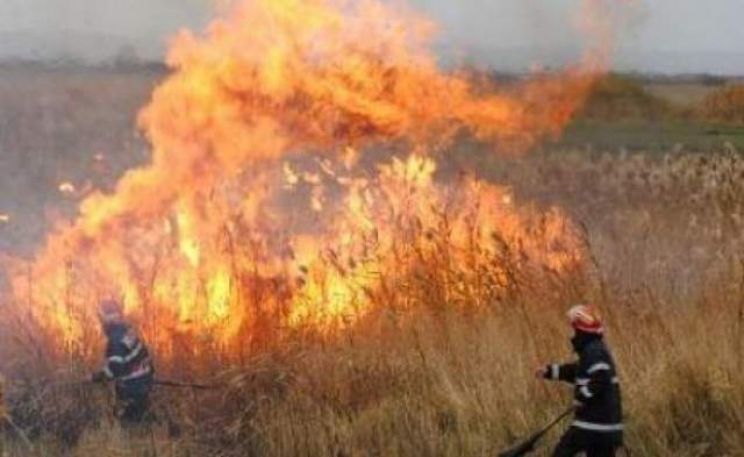 În urma incendiilor de vegetație din ultimele 24 de ore au fost compromise aproape 100 de ha de iarbă uscată.