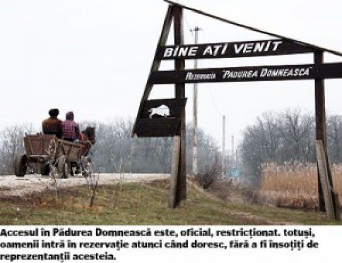 În această perioadă s-au împlinit patru ani de la vânătoarea „stelară” din Pădurea Domnească, la care au participat mai mulți funcționari de rang înalt și la care a fost rănit mortal Sorin Paciu.