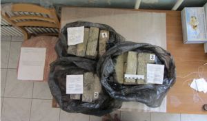 În timpul unor percheziții, efectuate în mai multe garaje au fost găsite zeci de kilograme de droguri. Foto: ria.ru