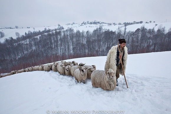 Un bărbat din raionul Comrat a fost dat dispărut după ce, a mers ieri la stână după oi. Foto: simbol