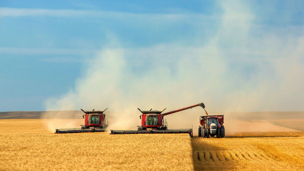 Agricultura rămâne sectorul cu cea mai mare cotă a muncii la negru.