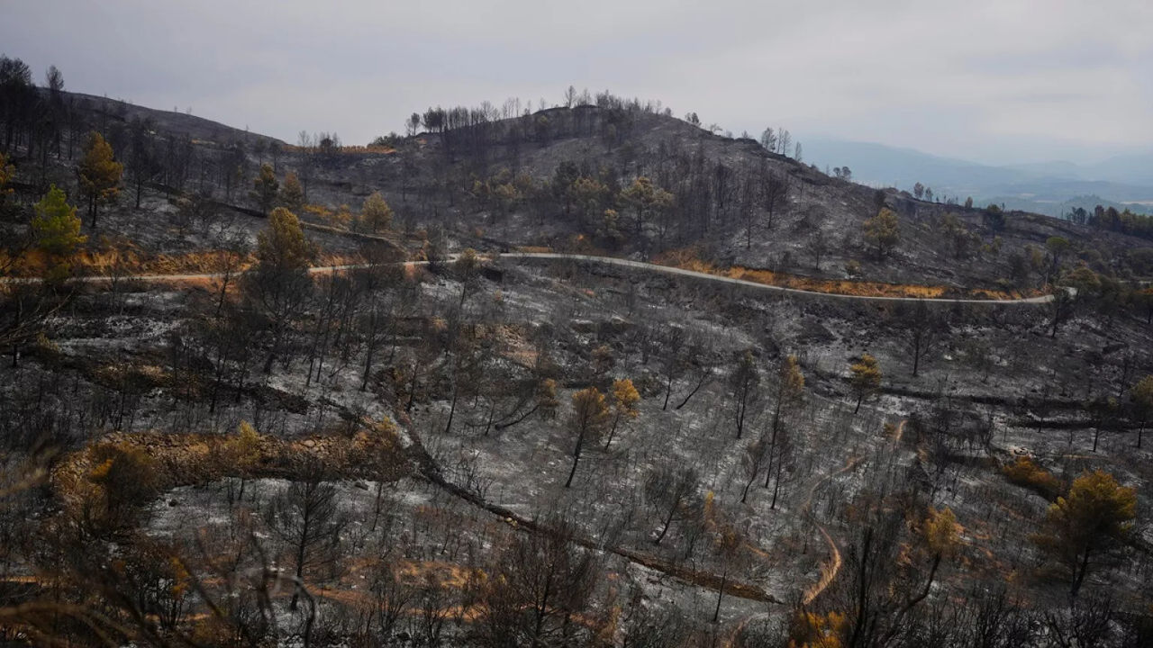 Incendiile forestiere fac ravagii în sudul Europei: Temperatura a depășit 40°C.