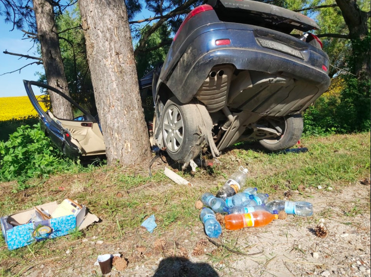 В Рышканах водитель, превысивший скорость, врезался в дерево.