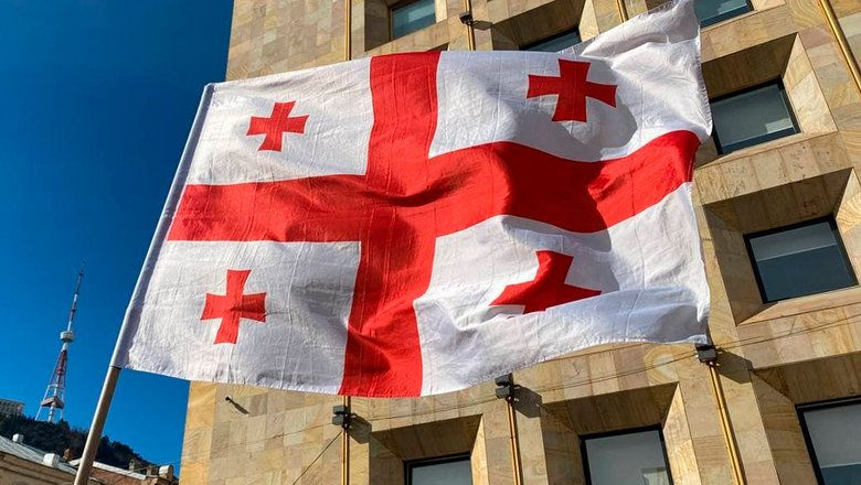 В парламенте Грузии сделали первые шаги к устранению из законодательства термина "гендер".