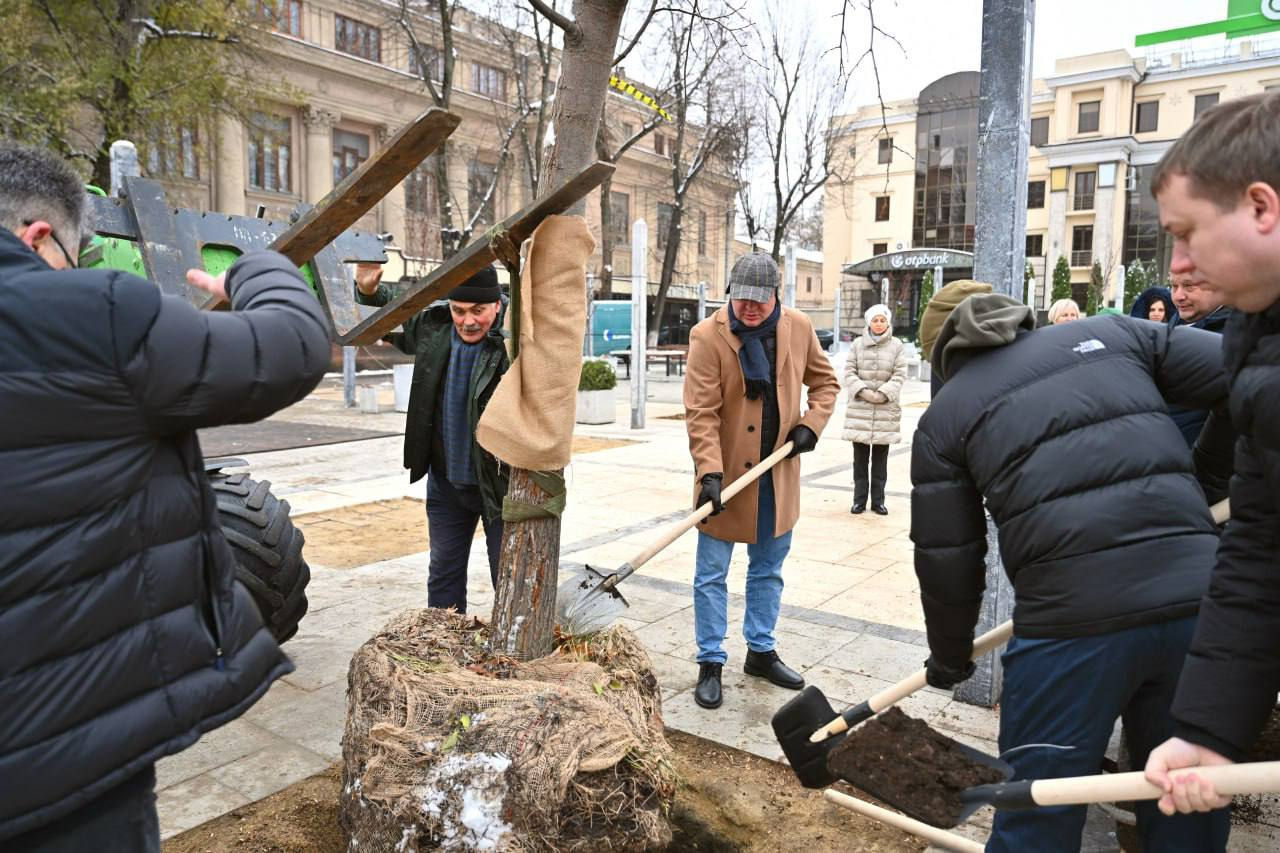 В сквере им. Михая Эминеску и возле него посадили 18 деревьев.