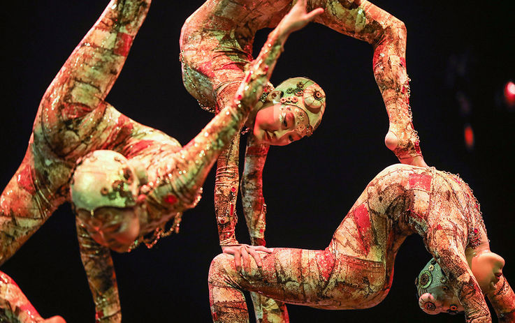 Пандемия коронавируса поставила на грань банкротства Cirque du Soleil