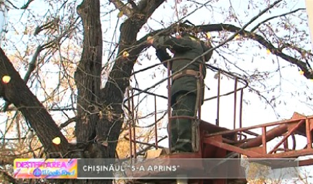Начало зимним праздникам будет положено 1 декабря.