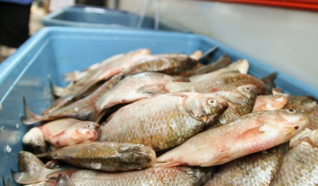 Cu două zile înainte de Crăciunul pe stil nou, inspectorii sanitar-veterinari au dat iama în pieţele agroalimentare din capitală.