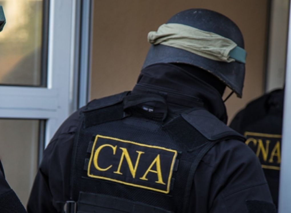 CNA a prezentat un raport de activitate pentru anul 2017