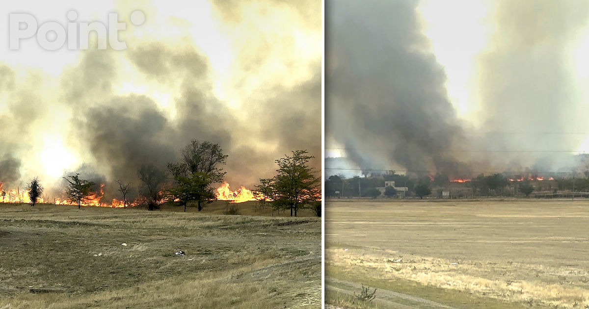 Incendiu la Comrat: A ars o pădure tânără, cu o suprafață de aproximativ 50 ha.