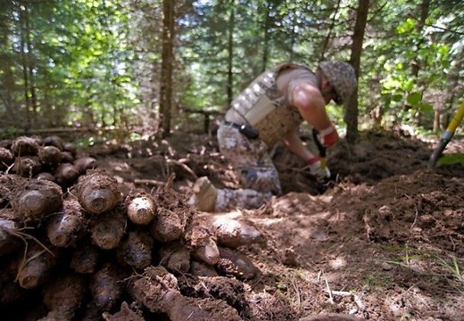 Россия планирует до конца 2014 г. утилизировать устаревшие боеприпасы, которые находятся в Приднестровье, непосредственно на месте их хранения. Фото: rus.delfi.lv