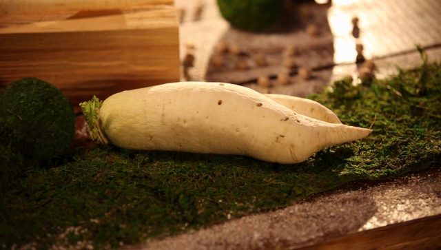 Назван дешевый продукт для женского здоровья.