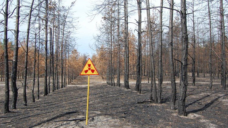 Облако дыма из Чернобыля не представляет опасности для Молдовы. 