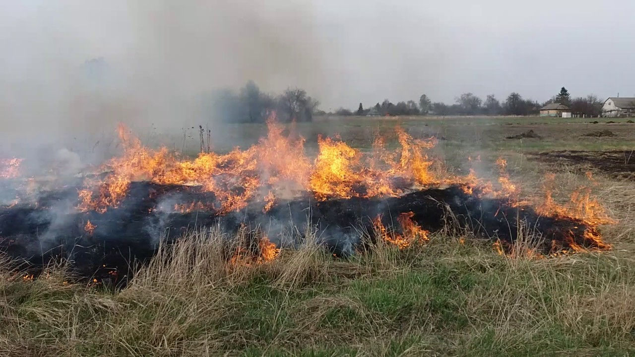 В Молдове вновь объявили об угрозе возникновения природных пожаров.