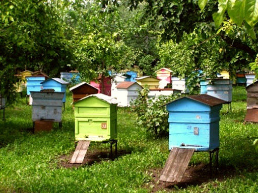 В сельскохозяйственном секторе будет открыто 32 новых предприятия. Фото: mirmeda.biz.