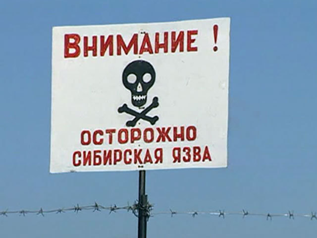 При кожной форме сибирской язвы в отсутствие лечения летальность составляет 10-20%, антибиотикотерапия позволяет снизить ее до минимума. Фото: xn.ru