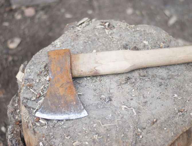 Un bărbat de 60 de ani a murit după ce fiul său l-a lovit cu un topor în cap. Grozăvia a avut loc joi, în localitatea Bieşti.