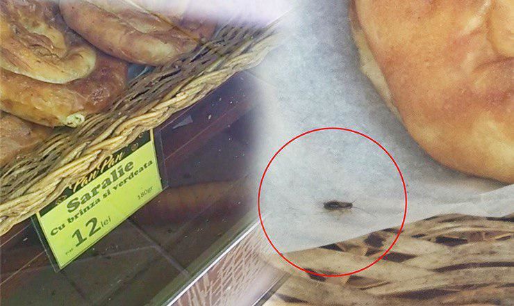На полу и на полках булочной замечены множество тараканов.
