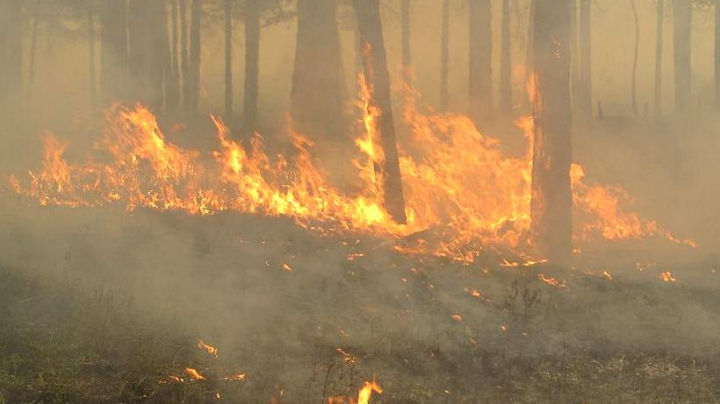 Incendii uriașe de vegetație: Italia și Rusia mistuită de flăcări
