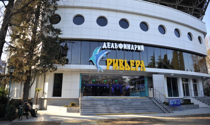В роли оракулов выступят дельфин Юнона, выдра Эшли и нерпа Буся.