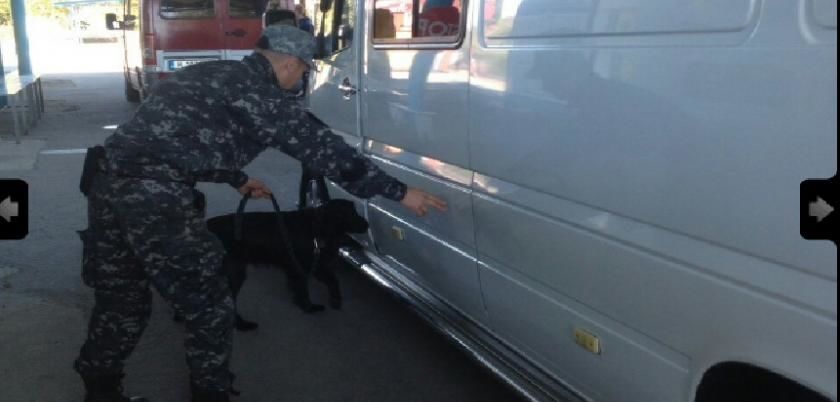 Două tentative de trecere ilicită peste frontiera vamală a țigaretelor au fost prevenite de vameșii de la Cahul. Foto: custom.gov.md