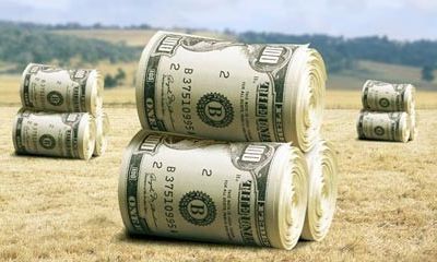 Фермеры готовят заявки на получение кредита.