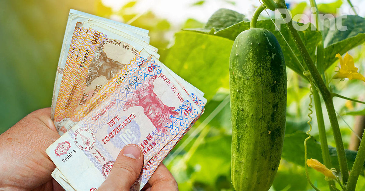 Prețuri exorbitante la castraveți înainte de Paște: Ce spun internauții.