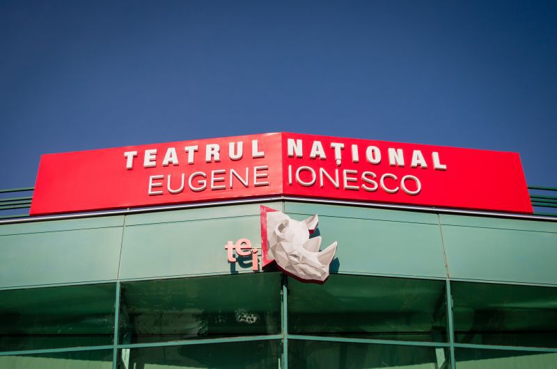 Actori de la Eugen Ionesco: Muncim pe brânci. 40 de angajaţi au plecat. Foto: fest.md