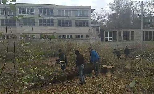 В сквере на Рышкановке продолжают рубить деревья.