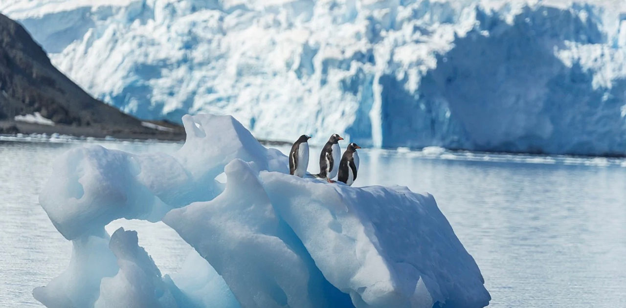 O lume ascunsă uriașă, descoperită sub gheața Antarcticii.
