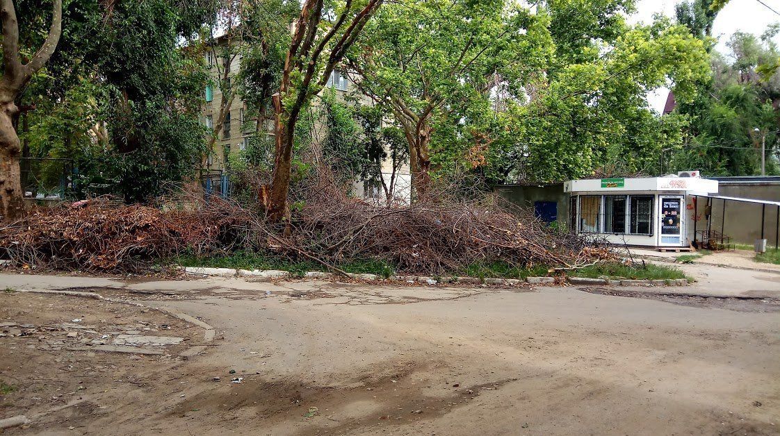 Până în prezent, în Chișinău au fost evacuate 97% dintre crengile doborâte de ninsoarea din aprilie. 