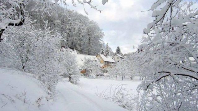 Germania: Drumuri îngropate în zăpadă și zeci de zboruri anulate