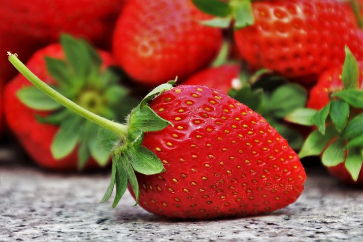 5 țări vor investi într-un proiect ce ar permite cultivarea căpșunelor