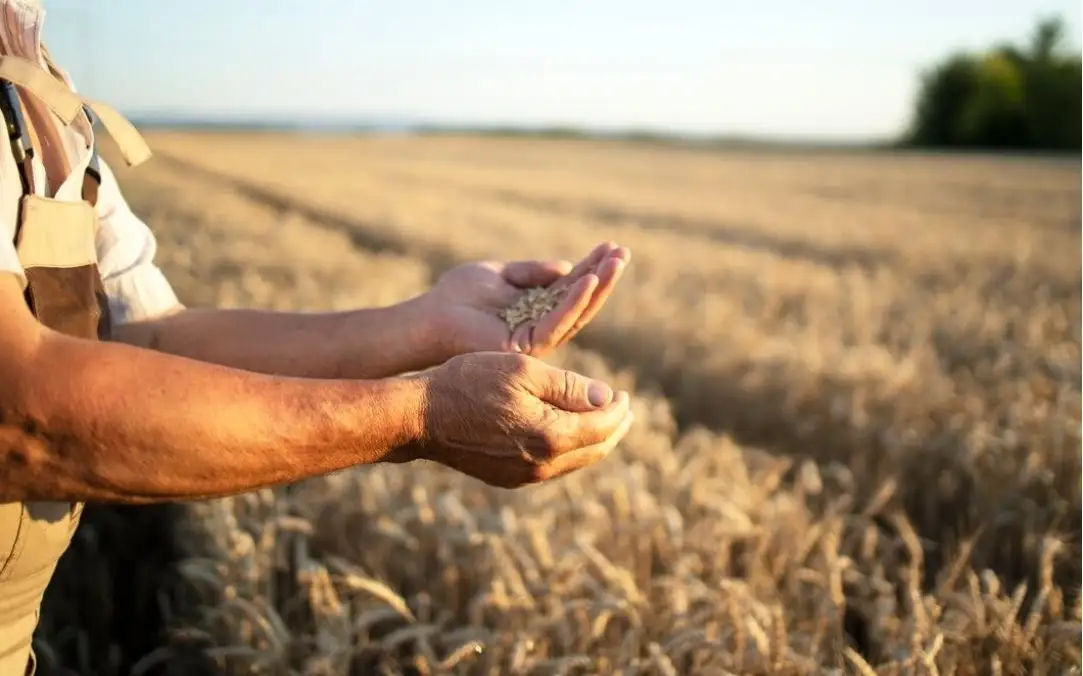 Moldova a redus cerințele pentru ca agricultorii să primească ajutor de la stat.
