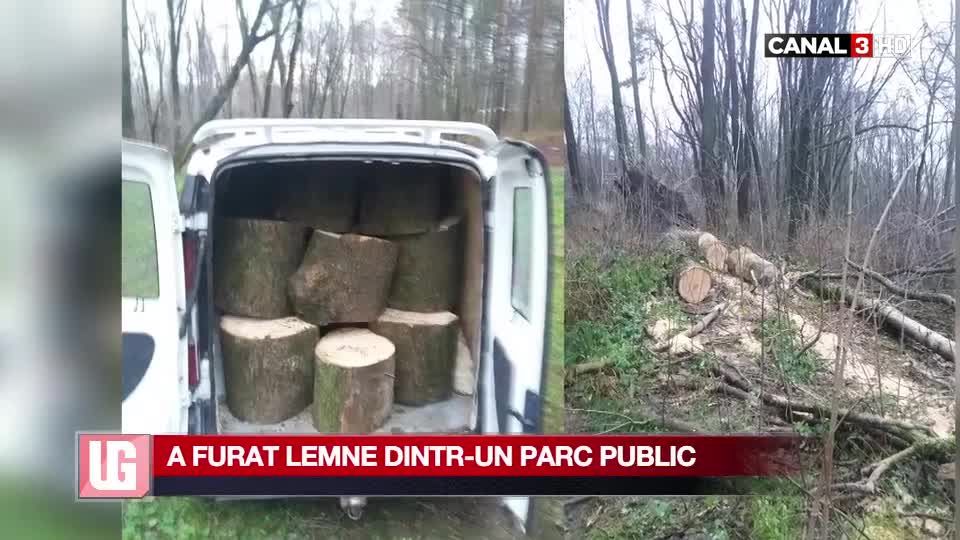 Detalii despre bărbatul  care a furat lemne dintr-un parc public. Foto: Canal3