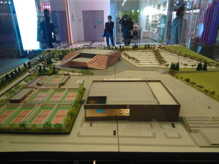 Для доступа к Arena Chișinău экспроприируют 20 земельных участков.