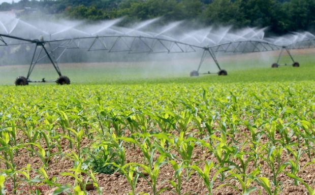 Se preconizează că în cadrul proiectului vor beneficia de echipamente circa 500 de producători agricoli mici şi mijlocii.