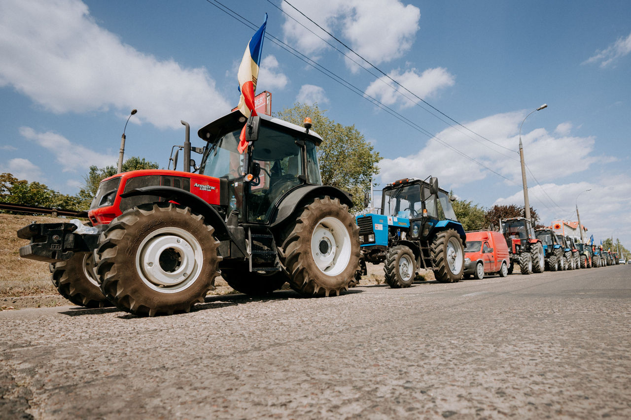 Фермеры дали неделю на решение о запрете импорта зерновых из Украины. Фото: Point.md.