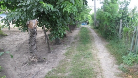 În urma investigaţiilor, poliția din a identificat şi reţinut suspectul