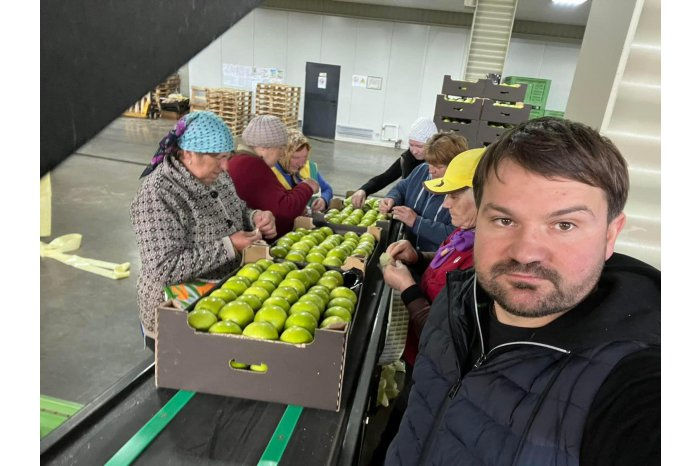 Партия молдавских яблок экспортирована в Швецию.