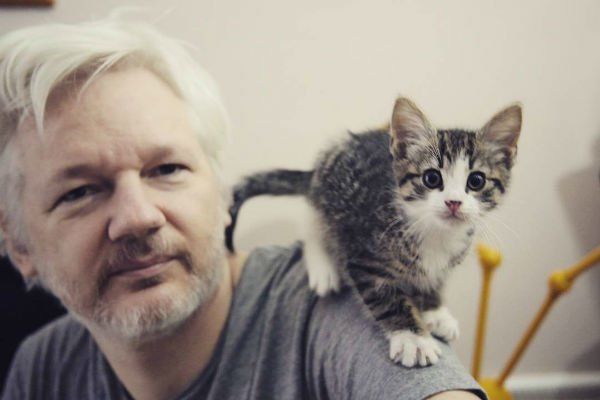 Суд обязал Ассанжа убирать за котом и оплачивать интернет.