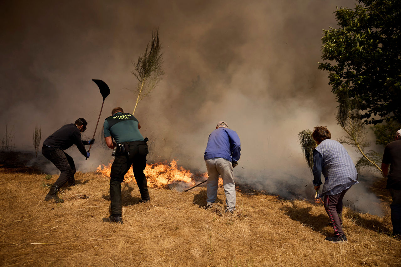 Incendiile forestiere din UE au mistuit o suprafață record de mărimea Ciprului.