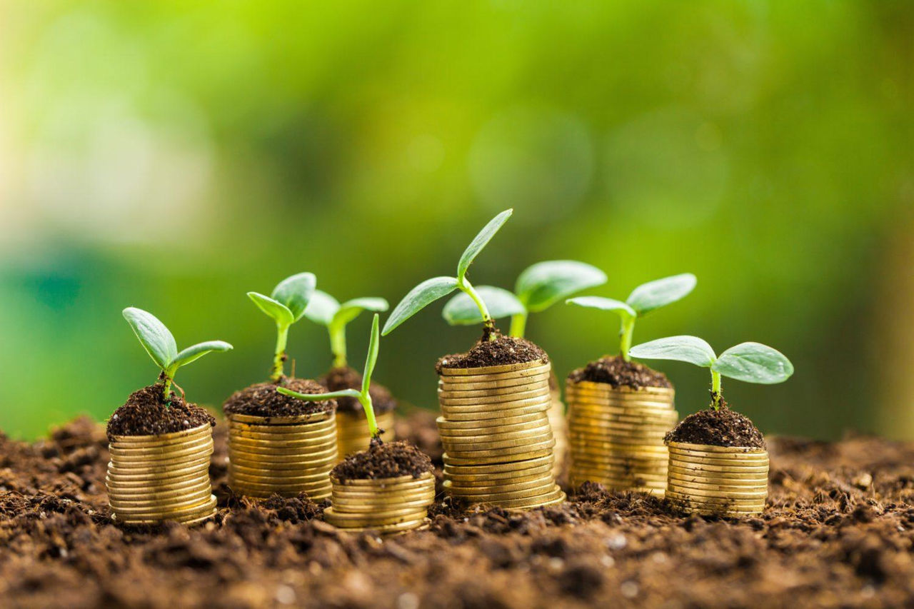 Peste 110 afaceri agricole, finanțate prin Programul FCA.