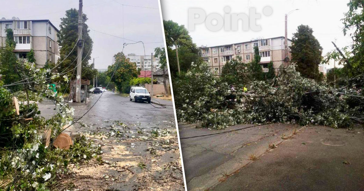 Circulația pe una dintre străzile Capitalei, blocată temporar din cauza unor copaci căzuți.